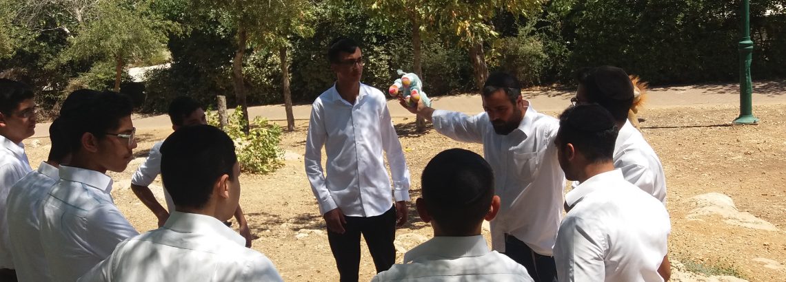 פעילות ישיבתית